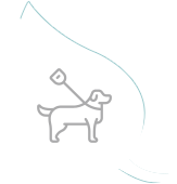 Canine Rehabilitation Icon