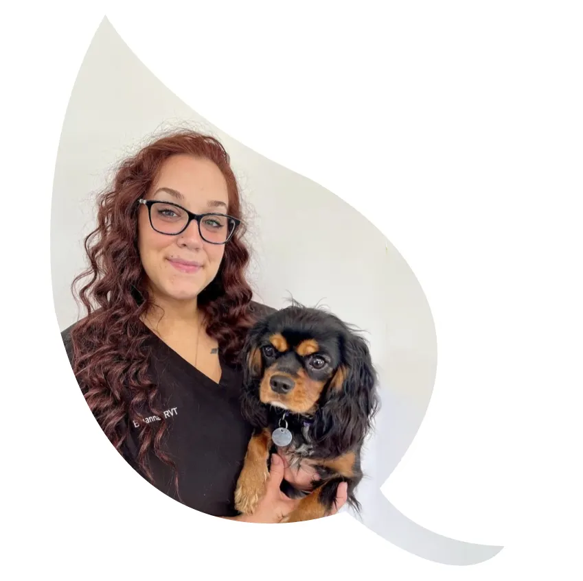 Briana - Registered Veterinary Technician
